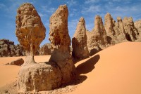 Central desert protected